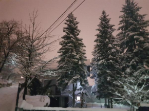  Cosy and chic... parking included  Сараево